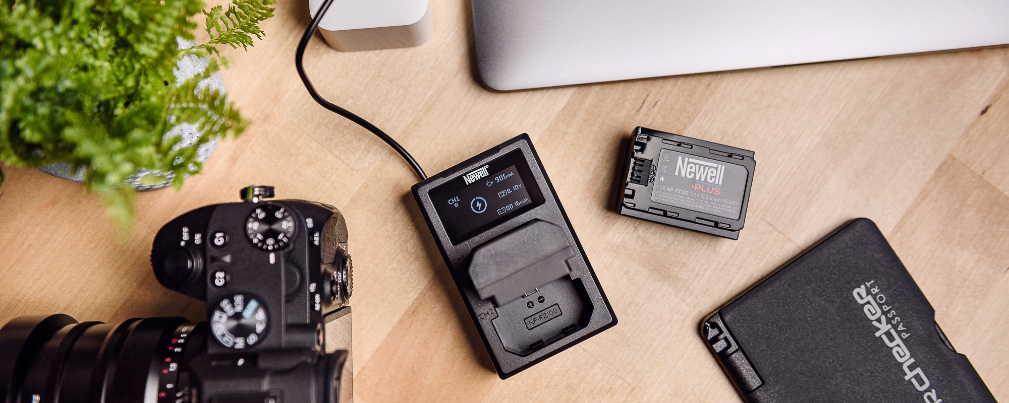 Ładowarka dwukanałowa Newell FDL-USB-C do akumulatorów